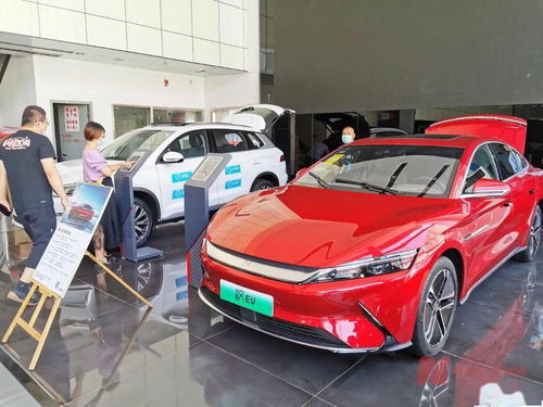 新能源車補貼退坡調查 市場終端火爆，車企策略分化，今年銷量劍指600萬輛